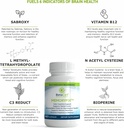 memoryfix-brain-supplement---60-brain-bo-2.jpg