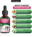 cat-dog-urinary-tract-infection-treatmen-5.jpg