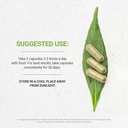 secrets-of-the-tribe-hibiscus-60-capsule-2.jpg