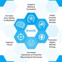 brain-function-supplement---3pck---brain-2.jpg