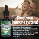 natures-answer-goldenseal-root-herbal-su-4.jpg