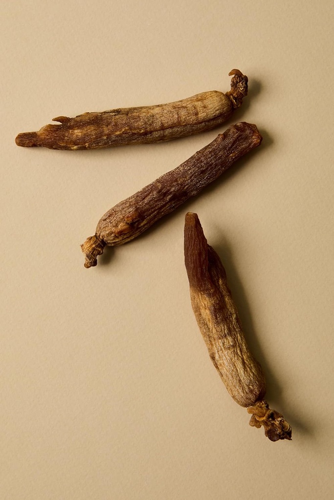illuminate-labs-panax-ginseng-extract-ca-4.jpg