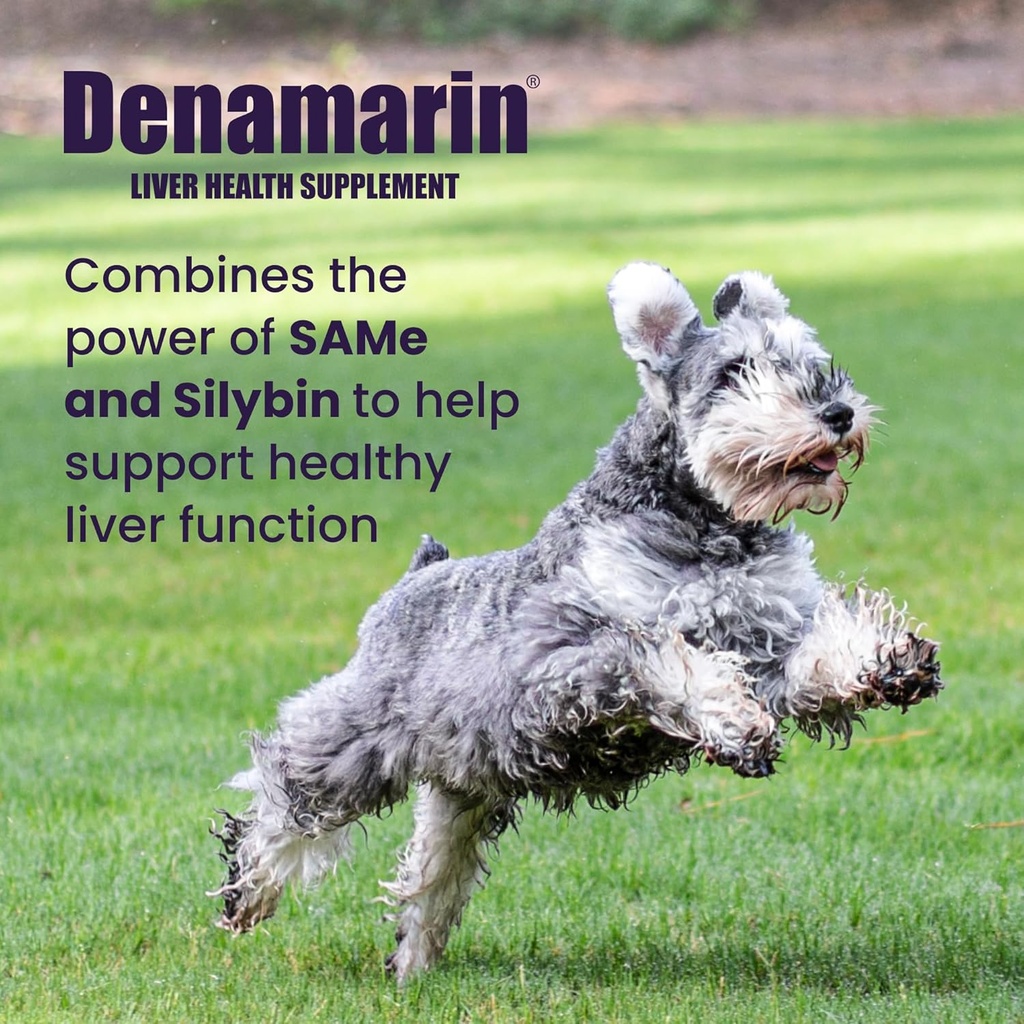 nutramax-laboratories-denamarin-liver-he-2.jpg