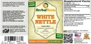herbal-terra-llc-white-nettle-lamium-alb-2.jpg