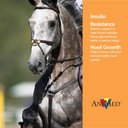 animed-remission-4-lb-2.jpg