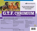 gtf-chromium-powder-horse-metabolic-supp-2.jpg