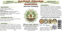 pure-garcinia-alcohol-free-liquid-extrac-2.jpg
