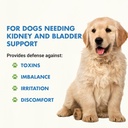 premium-easy-to-dose-liquid-for-all-dogs-2.jpg