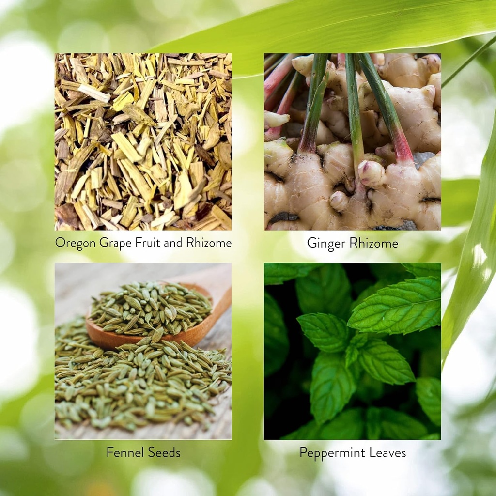 natures-sunshine-gall-bladder-formula-10-5.jpg