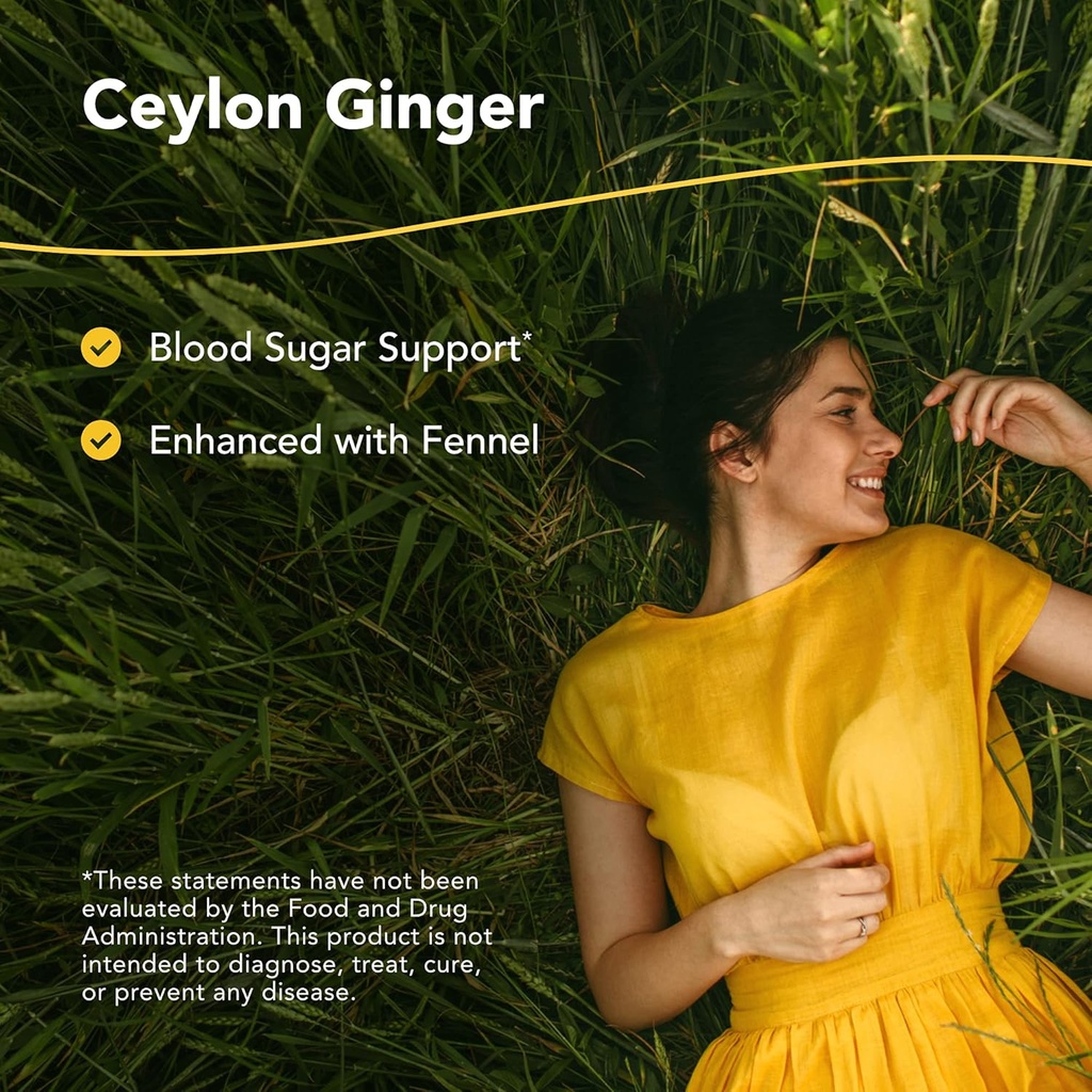 north-american-herb-spice-gingamax---90--2.jpg