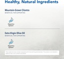 north-american-herb-spice-cilantrol---1--3.jpg