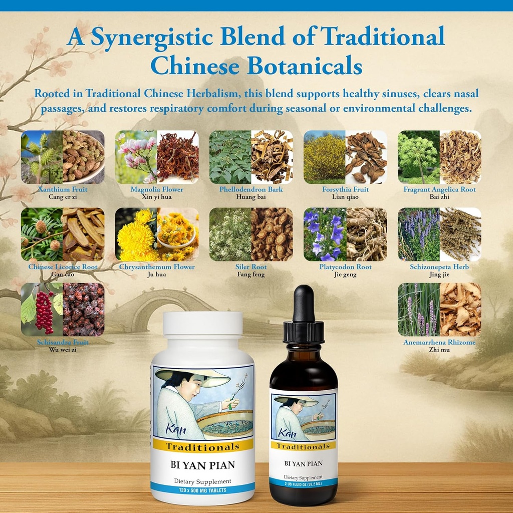 kan-herb-company-bi-yan-pian-traditional-4.jpg