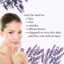 lavender-salve-all-natural-moisturizing--6.jpg