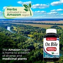 lab---bile-salts-ox-bile-1200-mg-per-ser-3.jpg