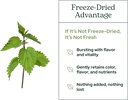 eclectic-institute-raw-fresh-freeze-drie-5.jpg
