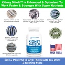 kidney-restore-kidney-shield-2-pack-bund-4.jpg