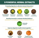 cuachalalate-digestive-drops-herbal-supp-4.jpg