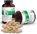 futurebiotics-thinkfast-brain-performanc-5.jpg
