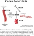 nanowell-sean-lees-ibone-cal-mag---bone--5.jpg