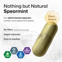 bio-krauter-spearmint-100-capsules-licor-4.jpg
