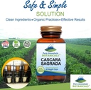 pure-mountain-botanicals-cascara-sagrada-3.jpg