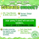pure-himalayan-shilajit-gummies---high-p-6.jpg