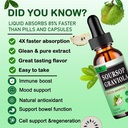 soursop-leaves-1500mg-soursop-fruit-500m-4.jpg