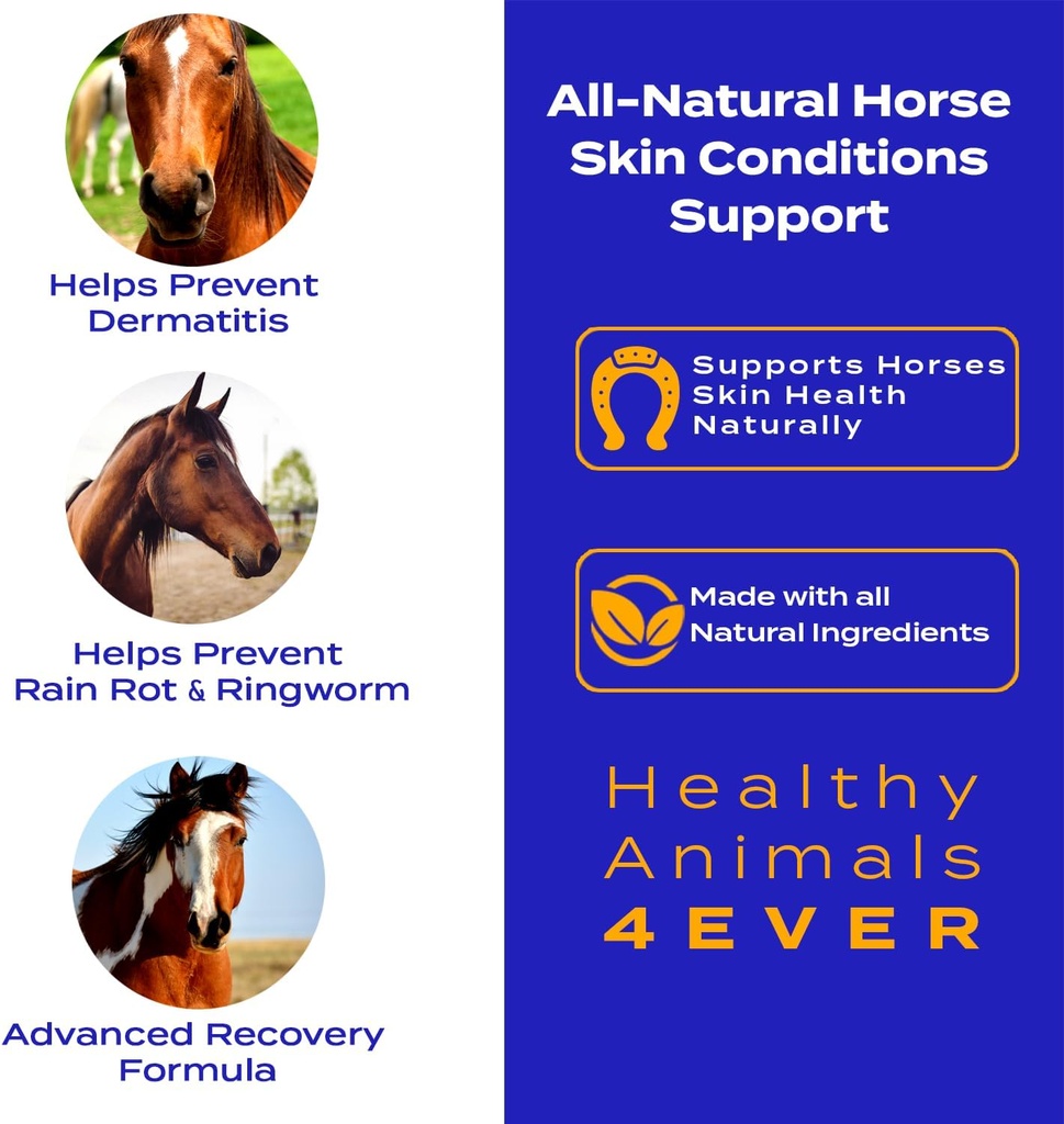 ha4e---horse-skin-conditions-support---h-2.jpg