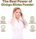 go-nutra-organic-ginkgo-biloba-powder-8--4.jpg