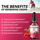 berberine-supplement-liquid-drops---berb-3.jpg