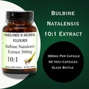 barlowes-herbal-elixirs-bulbine-natalens-3.jpg