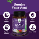 bundle-of-advanced-brain-supplement-for--5.jpg
