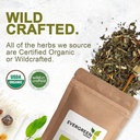 evergreen-herbs-prodigiosa-capsules---ta-3.jpg