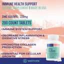 welmate-ultimate-cold-allergy-relief-bun-3.jpg