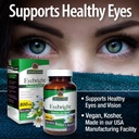 natures-answer-eyebright-herb-supports-h-4.jpg