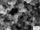 st-george-nano-silver-collodial-silver-l-3.jpg
