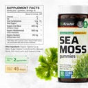 bio-krauter-sea-moss-90-gummies-cilantro-3.jpg