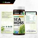 bio-krauter-sea-moss-90-gummies-cilantro-5.jpg