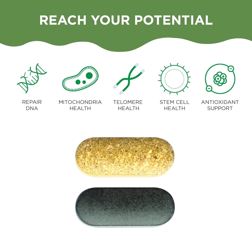 healthycell-am-pm-nutrition-for-day-nigh-3.jpg