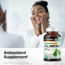 bio-krauter-sea-moss-90-gummies-cilantro-6.jpg