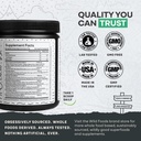 wild-foods-raw-super-greens-powder-daily-2.jpg