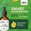 wild-organic-goldenseal-tincture-2-fl-oz-4.jpg