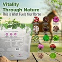 silver-lining-herbs-immune-support-for-h-3.jpg