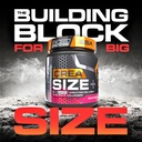 ssa-creatine-monohydrate-powder-with-d-r-4.jpg