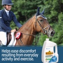 absorbine-absorbine-bute-less-solution-1-4.jpg