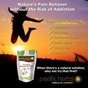 corydalis-natural-pain-relief-herbs-4.jpg