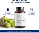 kerala-ayurveda-healthy-kidney-herbal-ta-3.jpg