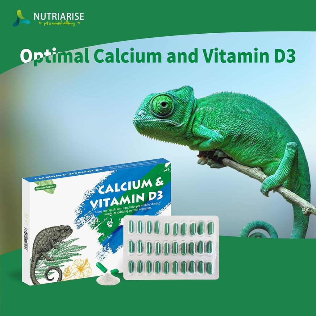 calcium-reptile-supplement-with-added-vi-2.jpg