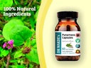 dr-wakdes-punarnava-capsules-boerhavia-d-3.jpg