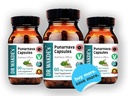 dr-wakdes-punarnava-capsules-boerhavia-d-4.jpg